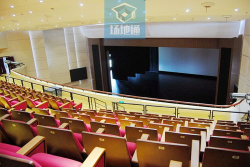 上海运动会 培训、考试与文化演出的多元融合